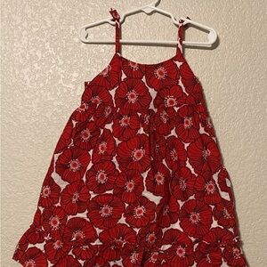 Set of 3 Dresses (Tea Collection and Janie and Jack) size 5